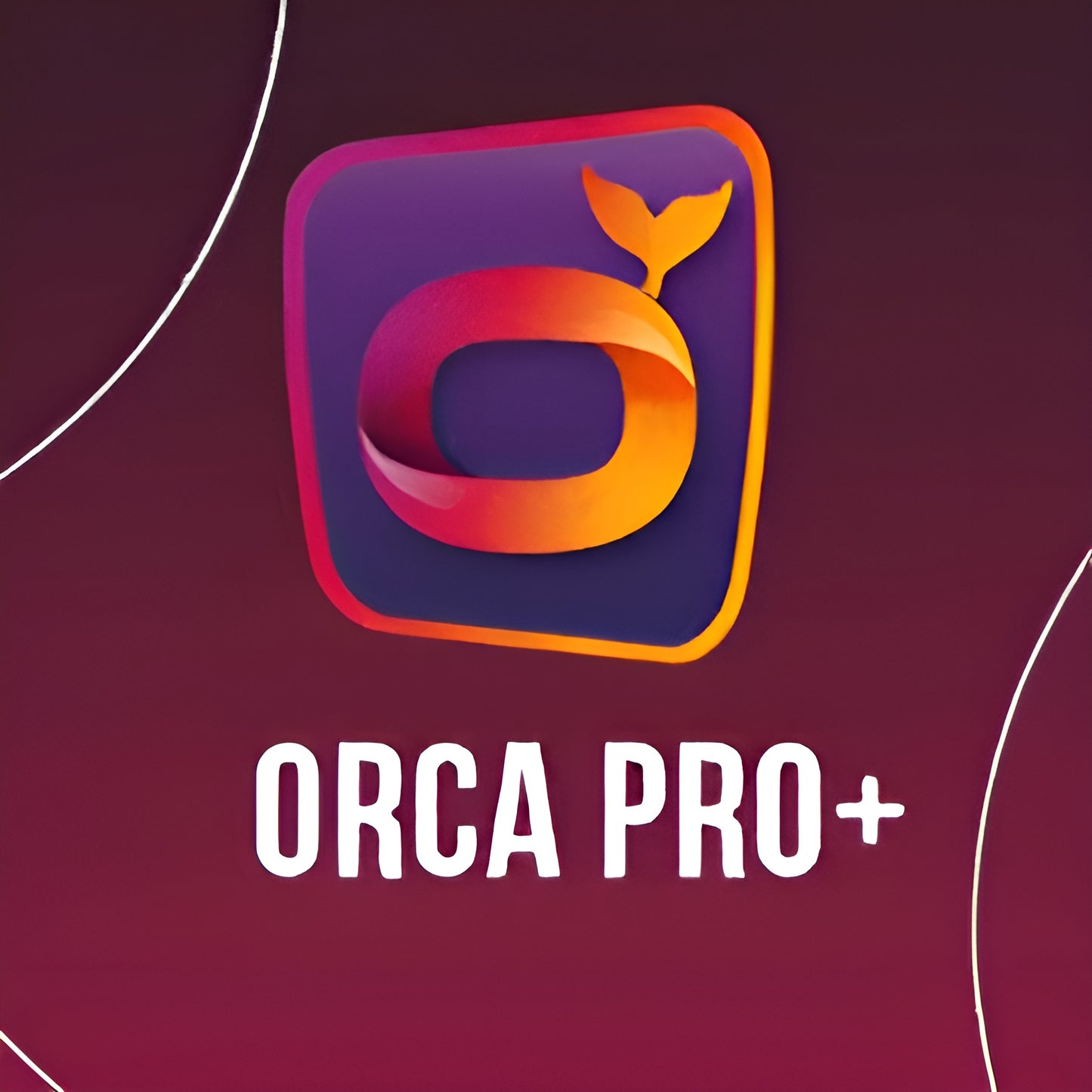 ORCA PRO+ 12 MONTHS
